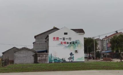太和新农村墙绘